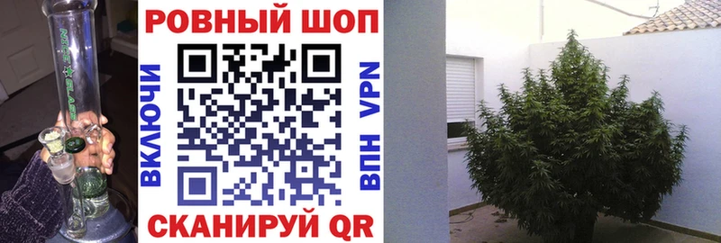 Виды наркоты Балашов Бутират МЕФ Гашиш МАРИХУАНА
