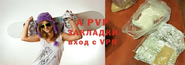 индика Осинники