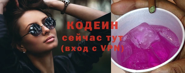 твердый Аркадак