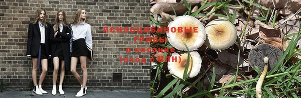 твердый Аркадак