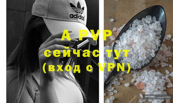 твердый Аркадак