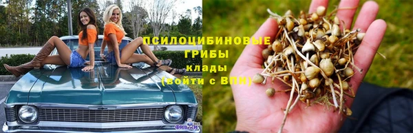 твердый Аркадак