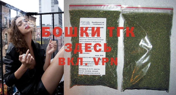 твердый Аркадак